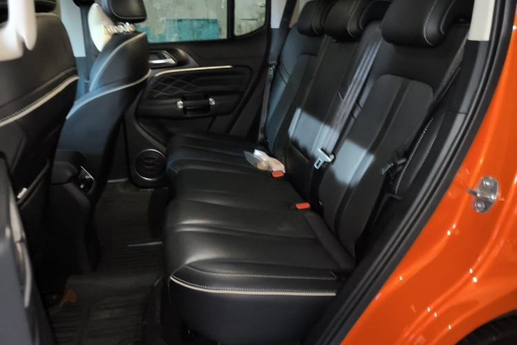 Used Tank 300 2021 City Edition 2.0T—Truly Stylish Left Rear Seat
