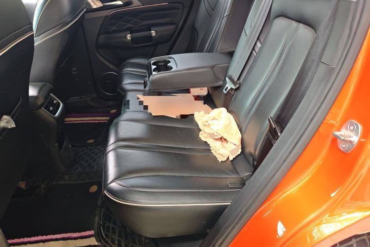 Used Tank 300 2021 Off-Road Edition 2.0T Conqueror Left Rear Seat