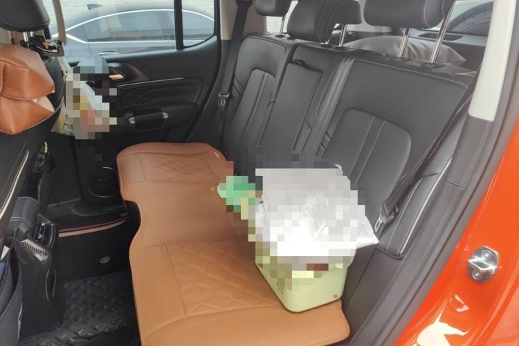 Used Tank 300 2021 City Edition 2.0T—Truly Stylish Left Rear Seat