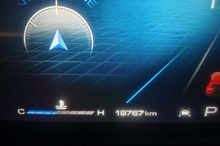 Used Tank 300 2021 City Edition 2.0T My Vision Model Odometer Close Up