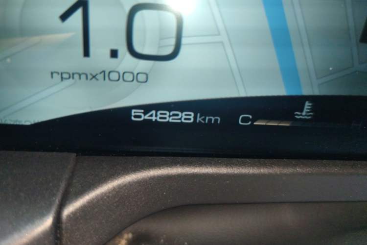 Used Tank 300 2021 Off-Road Edition 2.0T Conqueror Odometer Close Up