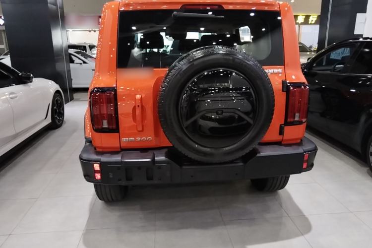 Used Tank 300 2021 City Edition 2.0T—Truly Stylish Rear