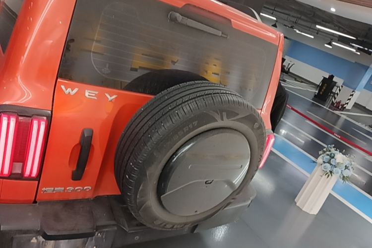 Used Tank 300 2021 Off-Road Edition 2.0T Conqueror Rear