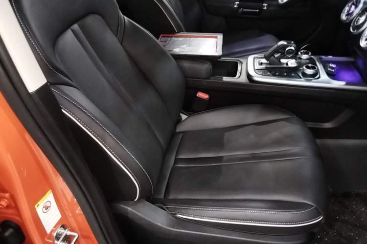 Used Tank 300 2021 City Edition 2.0T—Truly Stylish Right Front Seat