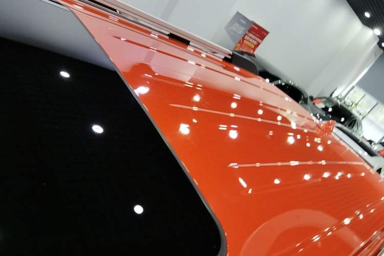 Used Tank 300 2021 City Edition 2.0T—Truly Stylish Roof