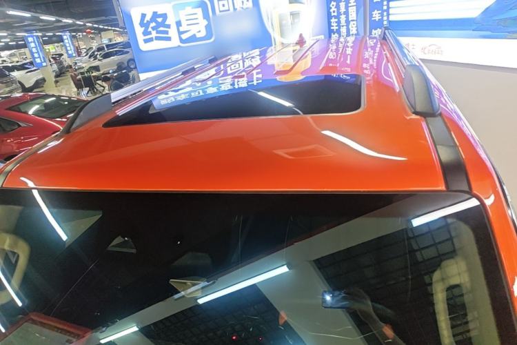 Used Tank 300 2021 City Edition 2.0T—Truly Stylish Roof