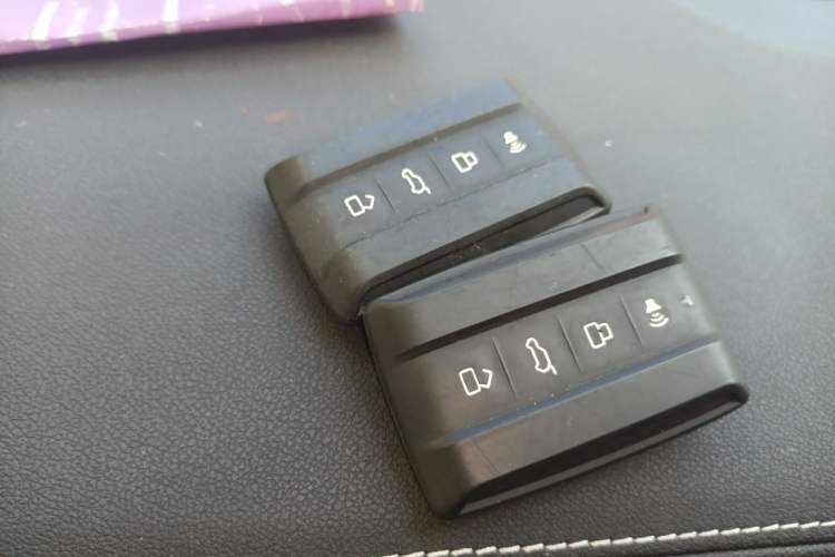 Used Tank 300 2021 Off-Road Edition 2.0T Conqueror Vehicle Key