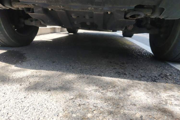 Used Tank 300 2021 City Edition 2.0T—Truly Stylish Chassis Front