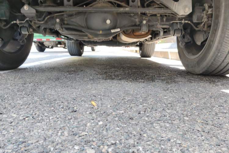 Used Tank 300 2021 City Edition 2.0T—Truly Stylish Chassis Rear