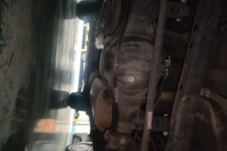 Used Tank 300 2021 Off-Road Edition 2.0T Conqueror Chassis Rear