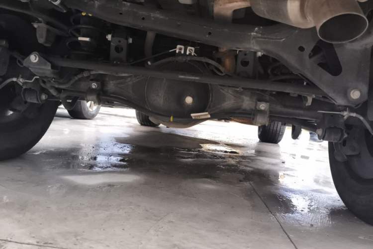 Used Tank 300 2021 City Edition 2.0T Essential Model Chassis Rear