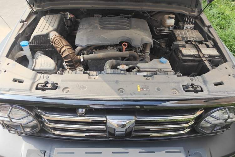 Used Tank 300 2021 City Edition 2.0T—Truly Stylish Engine Bay