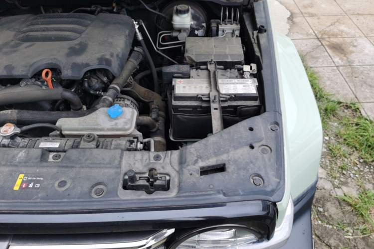 Used Tank 300 2021 City Edition 2.0T—Truly Stylish Engine Bay Left