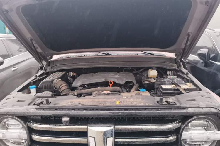 Used Tank 300 2021 City Edition 2.0T Essential Model Engine Bay