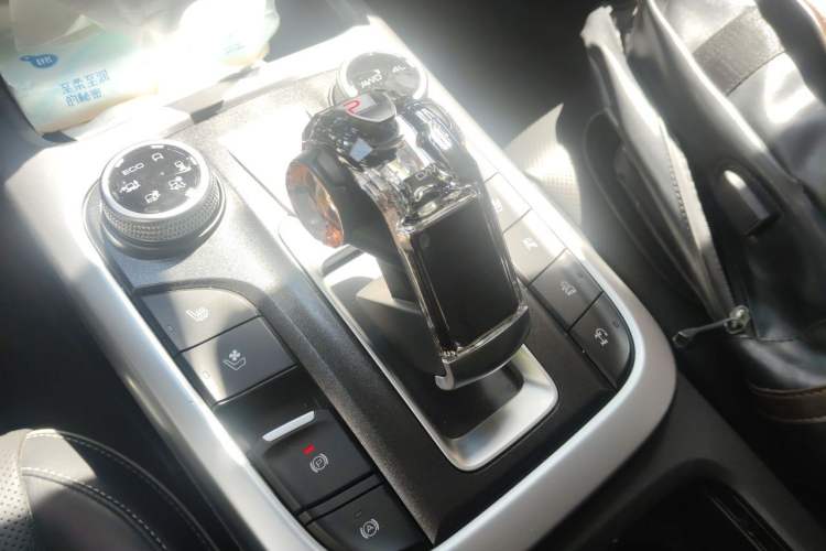 Used Tank 300 2021 City Edition 2.0T—Truly Stylish Gear Lever