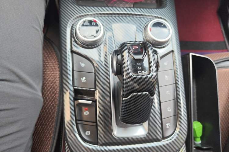 Used Tank 300 2021 City Edition 2.0T—Truly Stylish Gear Lever