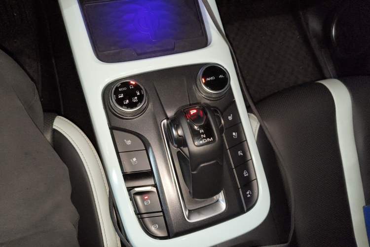 Used Tank 300 2021 City Edition 2.0T—Truly Stylish Gear Lever