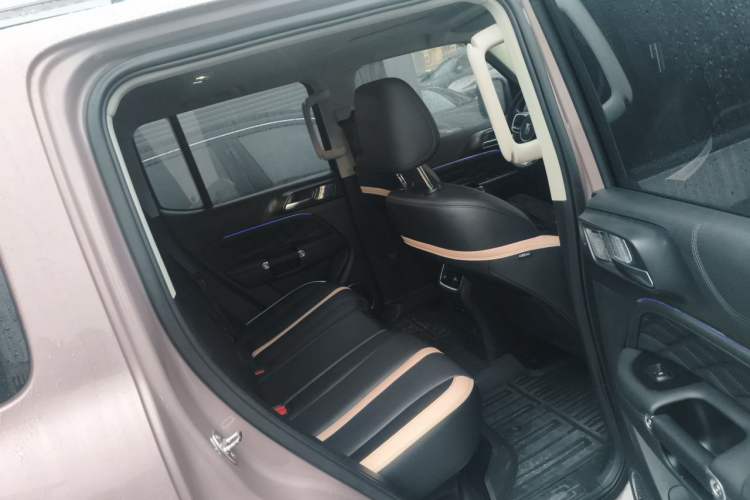 Used Tank 300 2021 City Edition 2.0T Essential Model Left Rear Seat