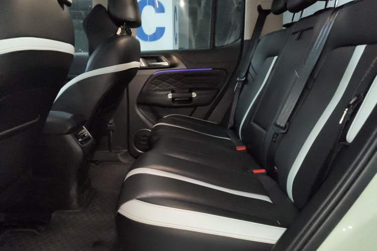Used Tank 300 2021 City Edition 2.0T—Truly Stylish Left Rear Seat