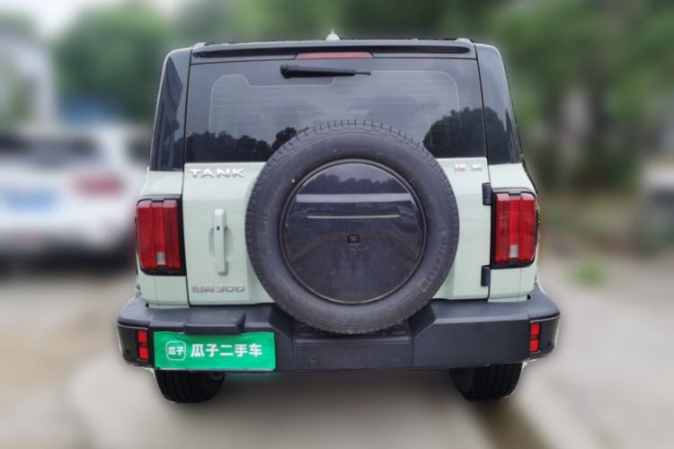 Used Tank 300 2021 City Edition 2.0T—Truly Stylish Rear