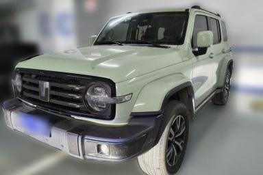 Used Tank 300 2021 City Edition 2.0T—Truly Stylish