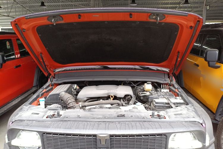 Used Tank 300 2021 Off-Road Edition 2.0T Conqueror Engine Bay