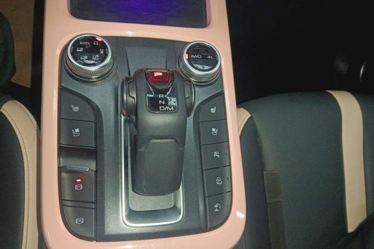 Used Tank 300 2021 City Edition 2.0T—Truly Stylish Gear Lever