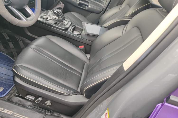 Used Tank 300 2021 Off-Road Edition 2.0T Conqueror Left Front Seat