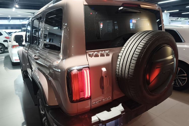 Used Tank 300 2021 City Edition 2.0T—Truly Stylish Rear