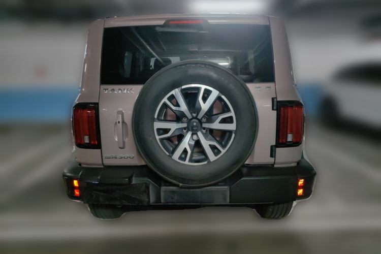 Used Tank 300 2021 City Edition 2.0T—Truly Stylish Rear