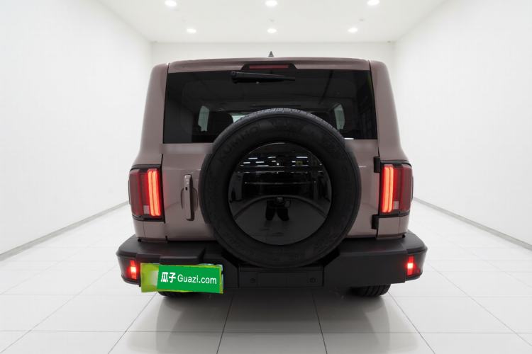 Used Tank 300 2021 City Edition 2.0T—Truly Stylish Rear