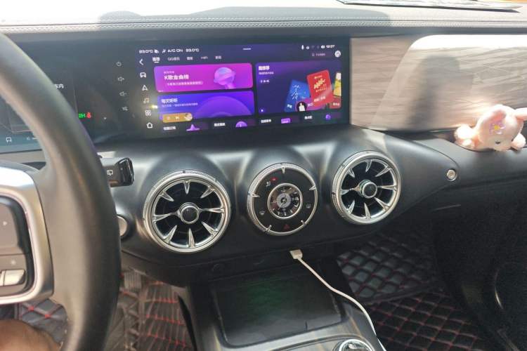 Used Tank 300 2021 Off-Road Edition 2.0T Conqueror Audio And AC Panel