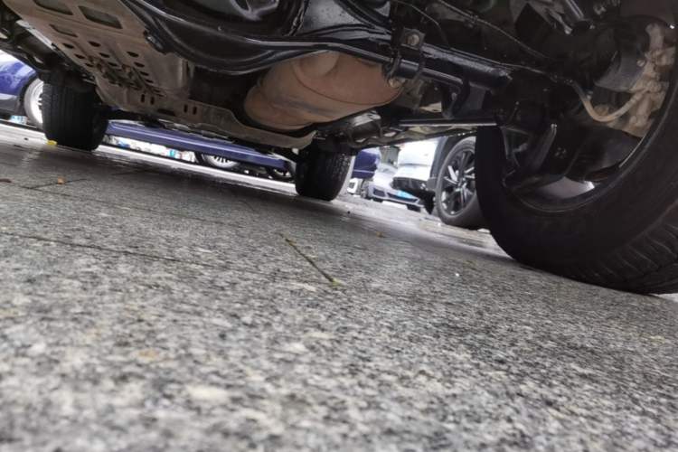 Used Tank 300 2021 Off-Road Edition 2.0T Conqueror Chassis Rear