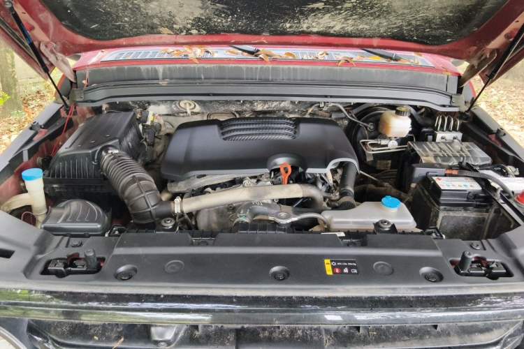 Used Tank 300 2021 Off-Road Edition 2.0T Conqueror Engine Bay