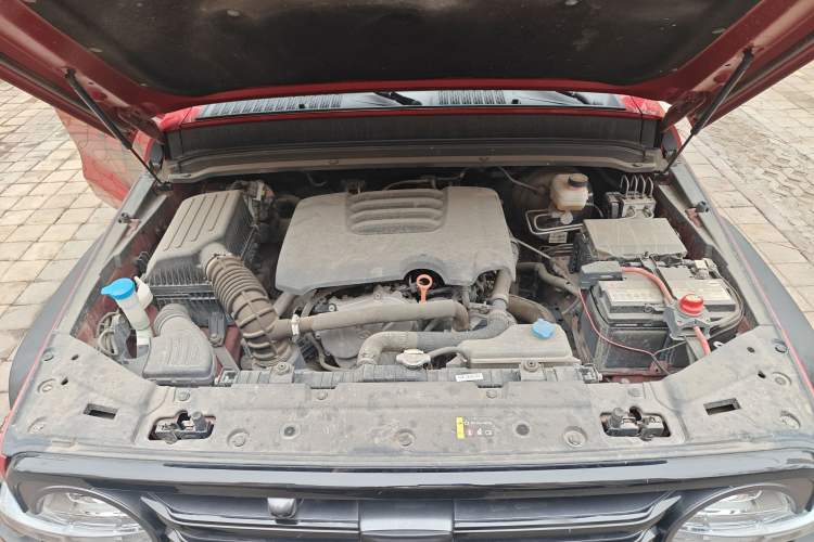 Used Tank 300 2021 Off-Road Edition 2.0T Conqueror Engine Bay
