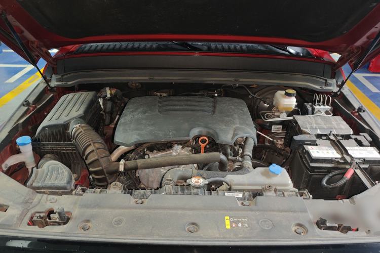 Used Tank 300 2021 Off-Road Edition 2.0T Conqueror Engine Bay