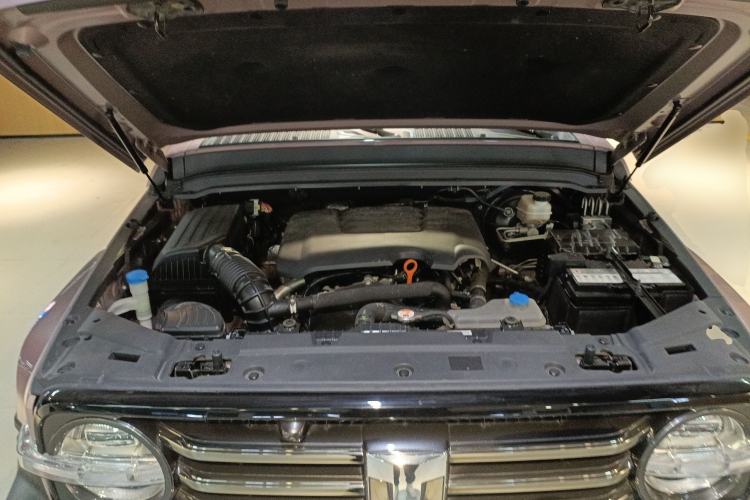 Used Tank 300 2021 City Edition 2.0T—Truly Stylish Engine Bay