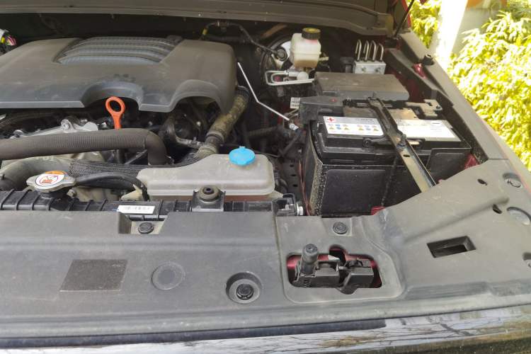 Used Tank 300 2021 Off-Road Edition 2.0T Conqueror Engine Bay Left
