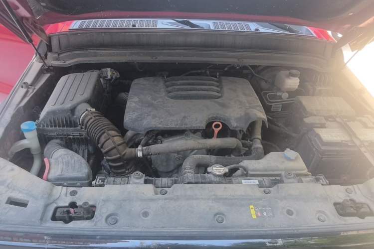 Used Tank 300 2021 Off-Road Edition 2.0T Conqueror Engine Bay