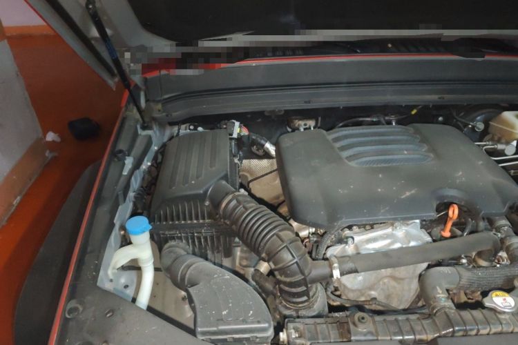 Used Tank 300 2021 Off-Road Edition 2.0T Conqueror Engine Bay Right