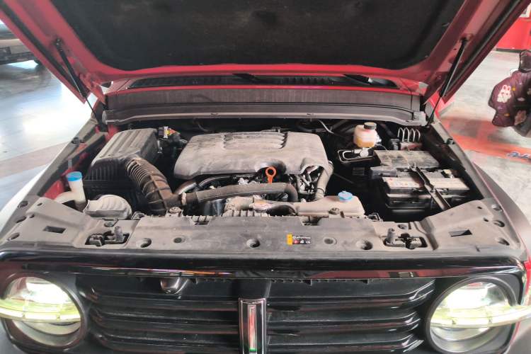 Used Tank 300 2021 Off-Road Edition 2.0T Conqueror Engine Bay