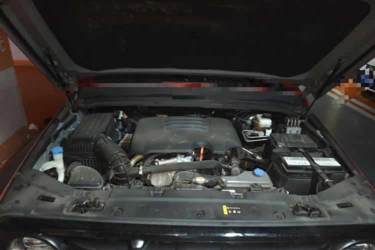 Used Tank 300 2021 Off-Road Edition 2.0T Conqueror Engine Bay