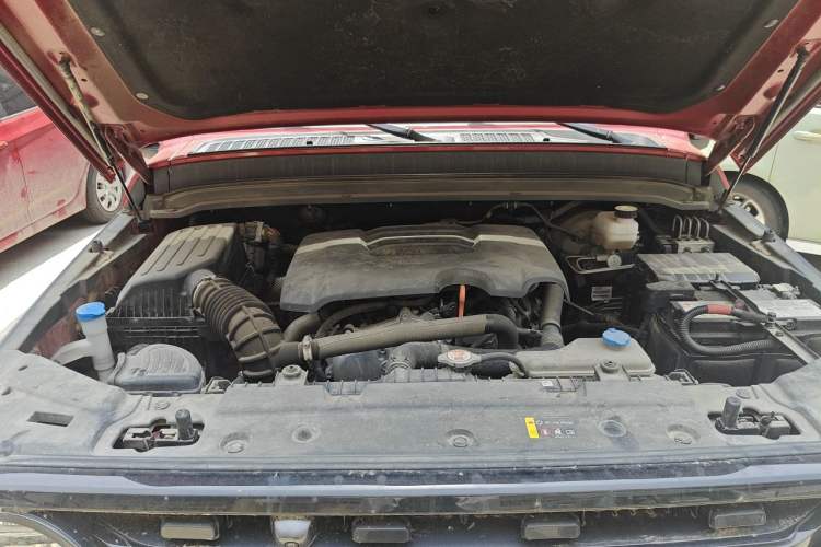 Used Tank 300 2021 Off-Road Edition 2.0T Conqueror Engine Bay