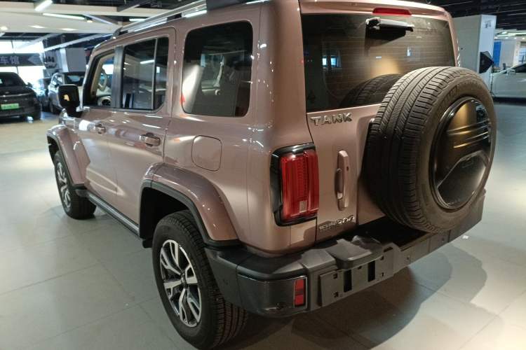 Used Tank 300 2021 City Edition 2.0T—Truly Stylish Exterior 3
