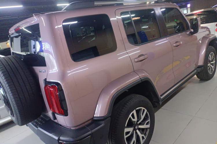 Used Tank 300 2021 City Edition 2.0T—Truly Stylish Exterior 5