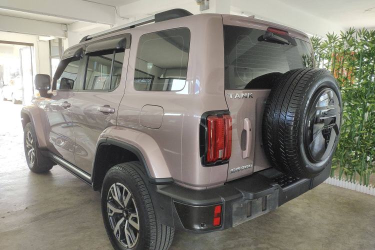 Used Tank 300 2021 City Edition 2.0T—Truly Stylish Exterior 5
