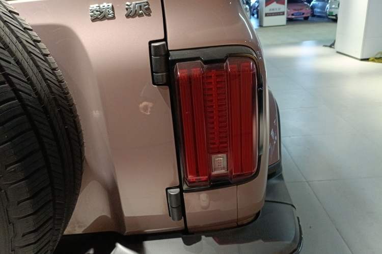 Used Tank 300 2021 City Edition 2.0T—Truly Stylish Exterior 6