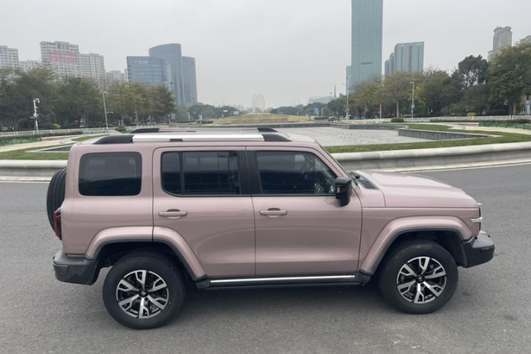Used Tank 300 2021 City Edition 2.0T—Truly Stylish Exterior 6
