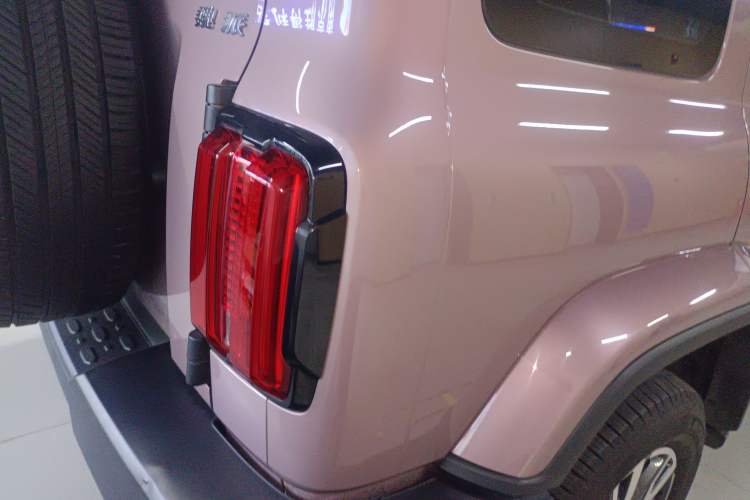 Used Tank 300 2021 City Edition 2.0T—Truly Stylish Exterior 6