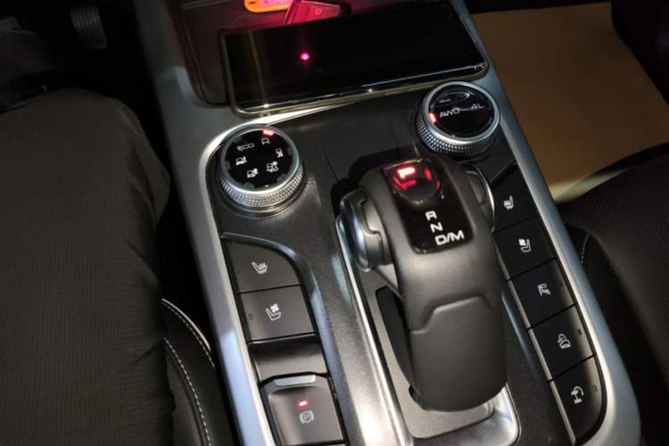 Used Tank 300 2021 City Edition 2.0T—Truly Stylish Gear Lever